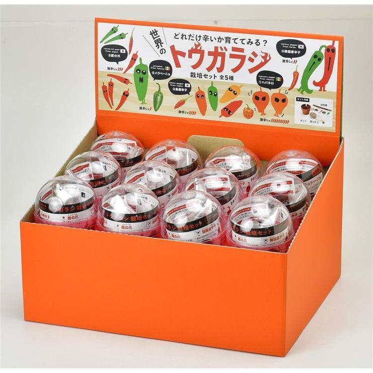 育てるカプセル トウガラシ: ファッション＆バラエティ雑貨 | ロフト公式通販サイト | LOFT