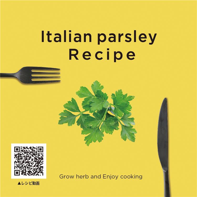 レシピ付栽培キット イタリアンパセリ ファッション バラエティ雑貨 ロフト公式通販サイト Loft