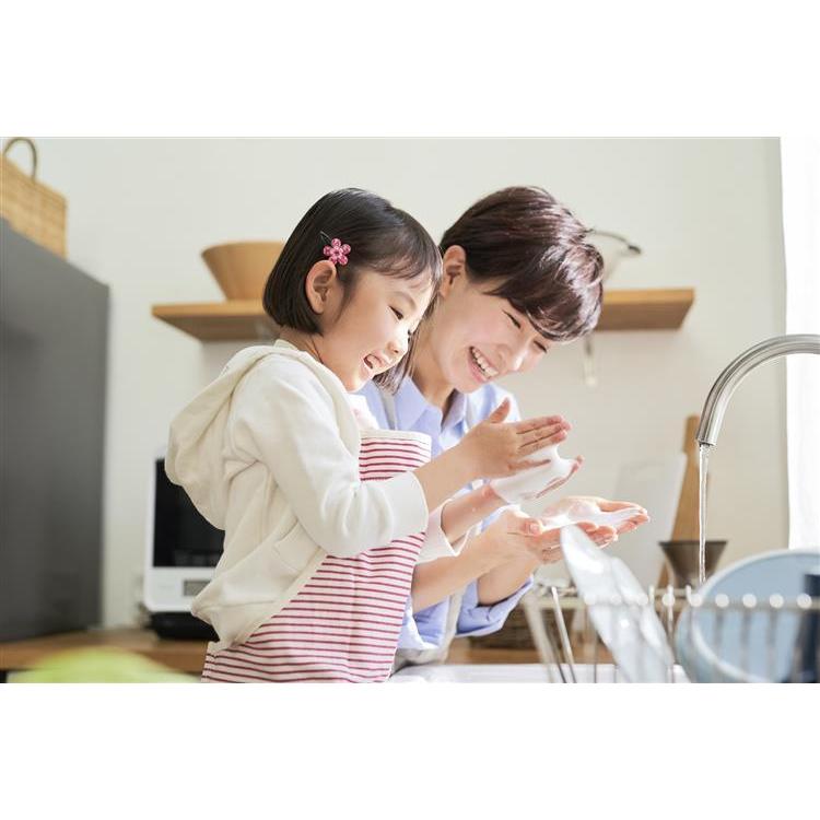 サンサンスポンジ 2026新年 バニラホワイト ソフトタイプ バニラホワイト