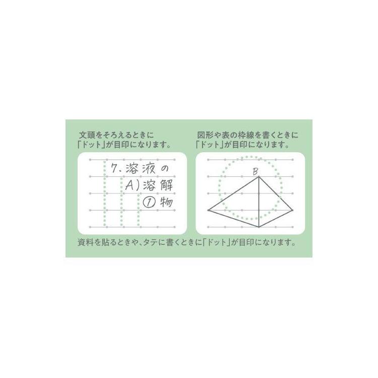 キャンパス ルーズリーフ シトラスグリーン シトラスグリーン