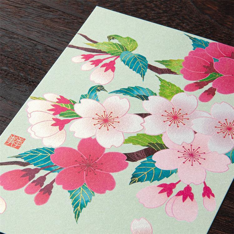 春柄 ポストカード 桜 桜