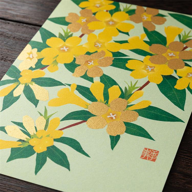 春柄 ポストカード ジャスミン ジャスミン