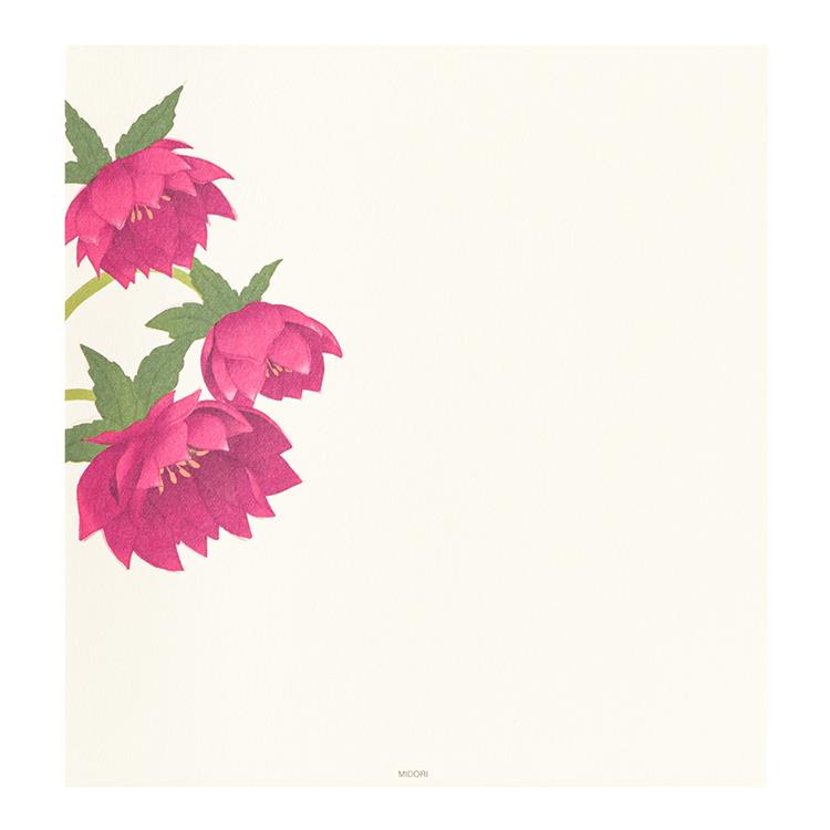 冬柄 便箋 クリスマスローズ柄 クリスマスローズ柄