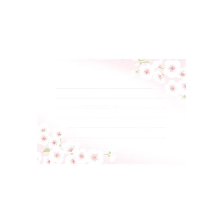 春柄 お手紙美人 さくら白 さくら白