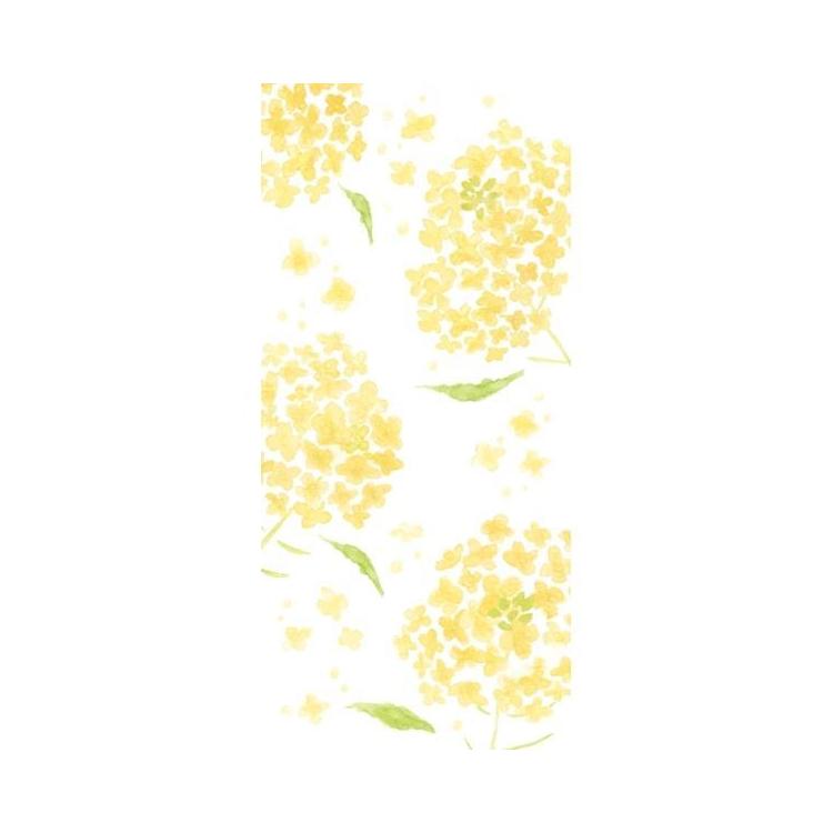 春柄 今日のお手紙 菜の花 菜の花