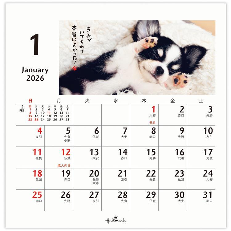 2026年1月始まりカレンダー 卓上 ほめわんこ ほめわんこ