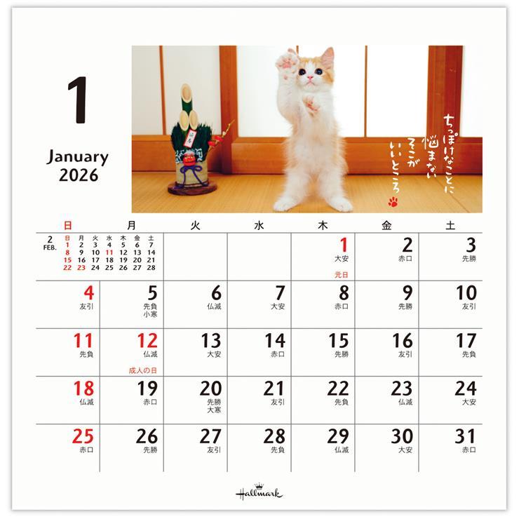 2026年1月始まりカレンダー 卓上 ほめにゃんこ ほめにゃんこ