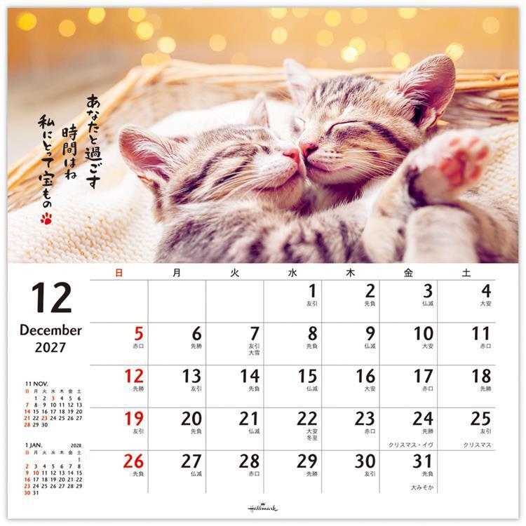 2027年1月始まり リングカレンダー大 ほめにゃんこ ほめにゃんこ