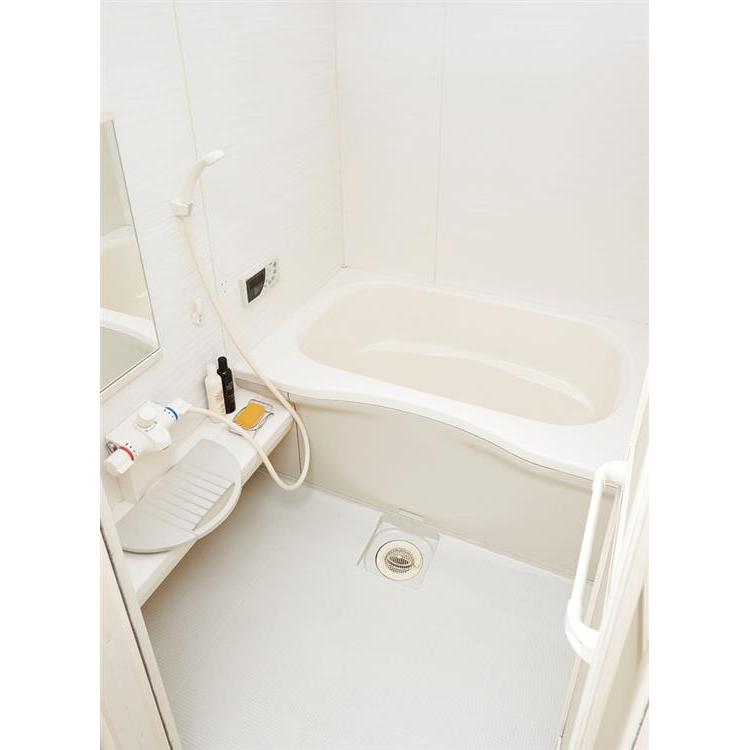 パワーバイオ お風呂の排水口のカビきれい