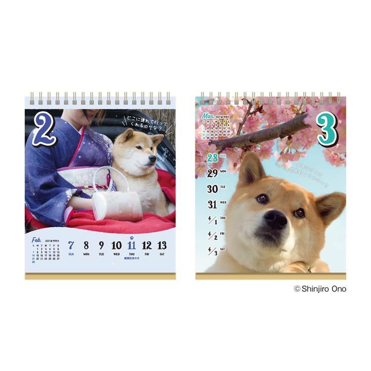 2027年1月始まりカレンダー 卓上 柴犬まるのおしゃべり週めくり