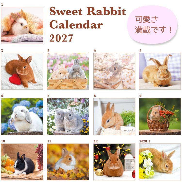 2027年1月始まりカレンダー 壁掛け スウィートラビット