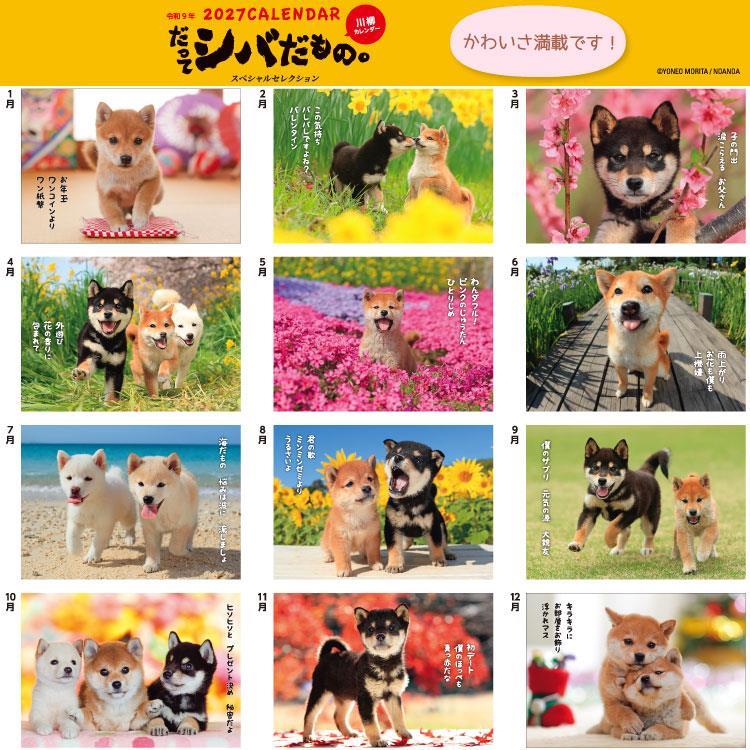 2027年1月始まりカレンダー 壁掛け だってシバだもの。