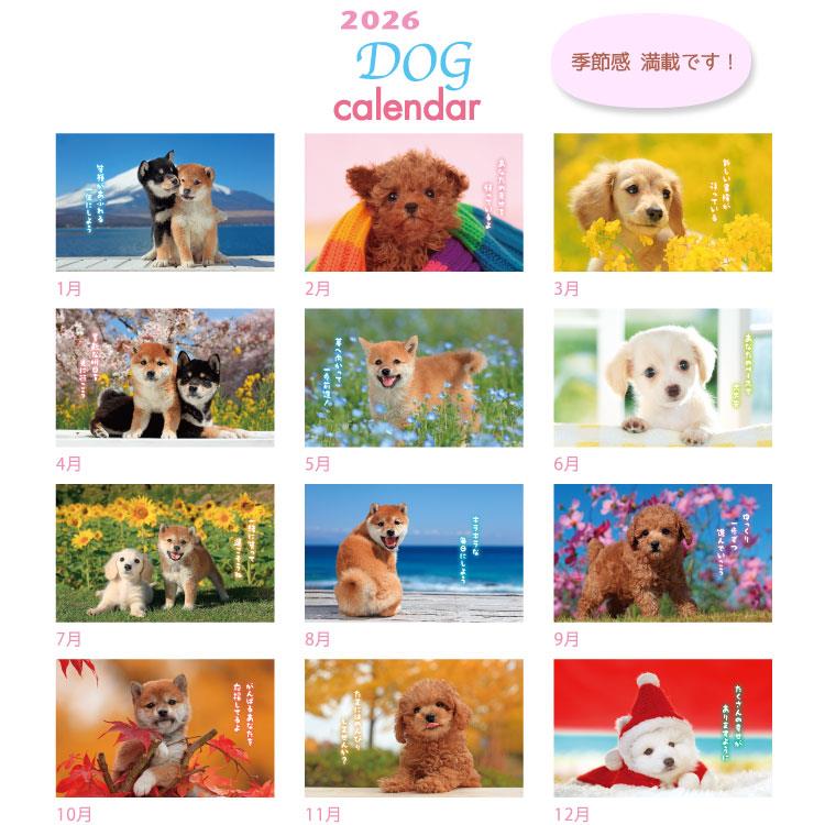 2026年1月始まりカレンダー 卓上 リトルドッグ ACL-536 リトルドッグ
