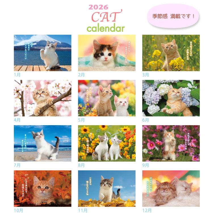 2026年1月始まりカレンダー 卓上 リトルキャット ACL-537 リトルキャット
