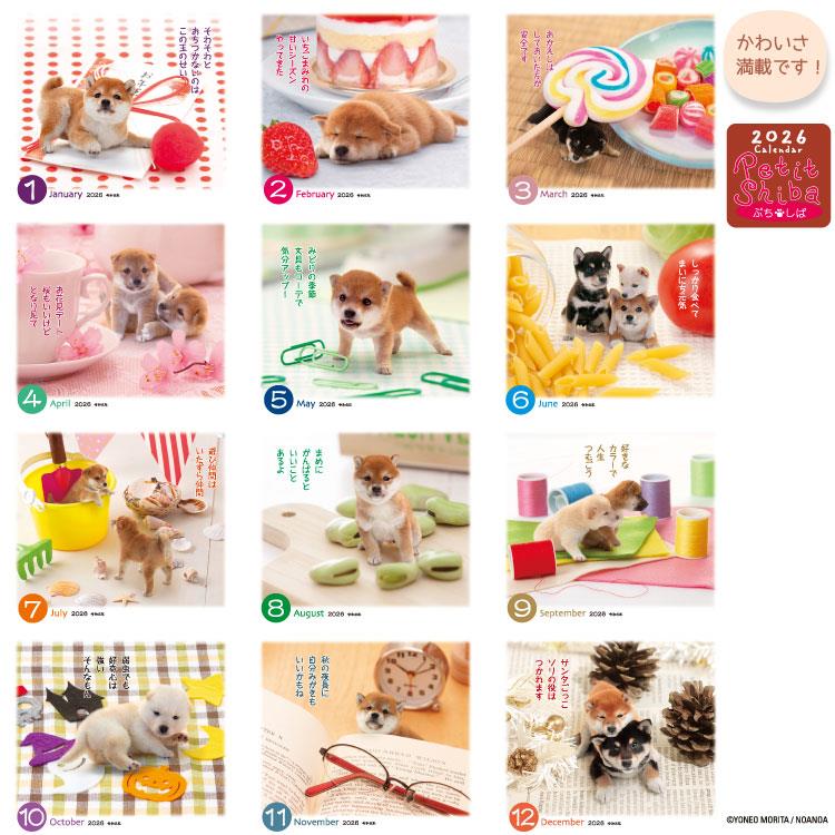 2026年1月始まりカレンダー 卓上 ぷちしば ぷちしば