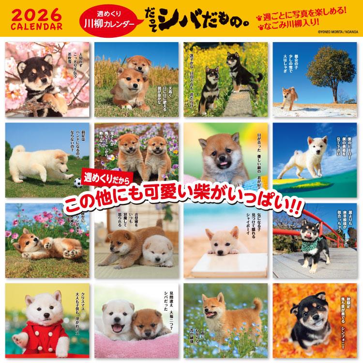 2026年1月始まりカレンダー 卓上 だってシバだもの。 だってシバだもの。