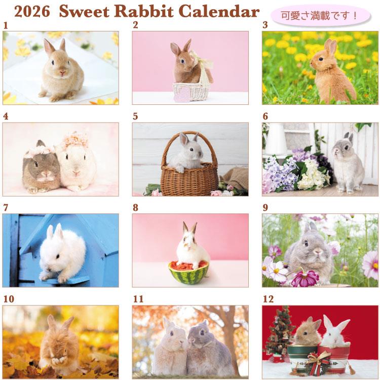 2026年1月始まりカレンダー 卓上 スウィートラビット