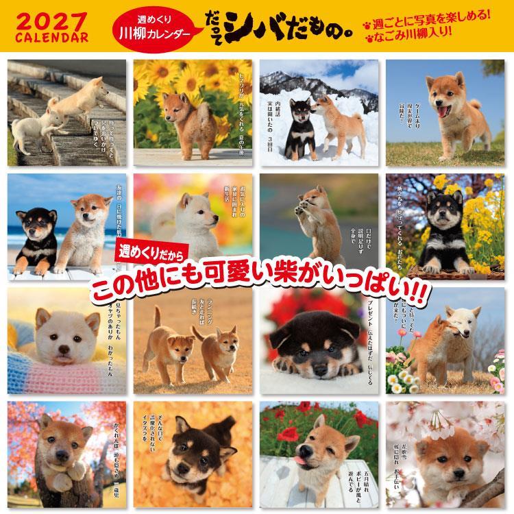 2027年1月始まりカレンダー 卓上 だってシバだもの。