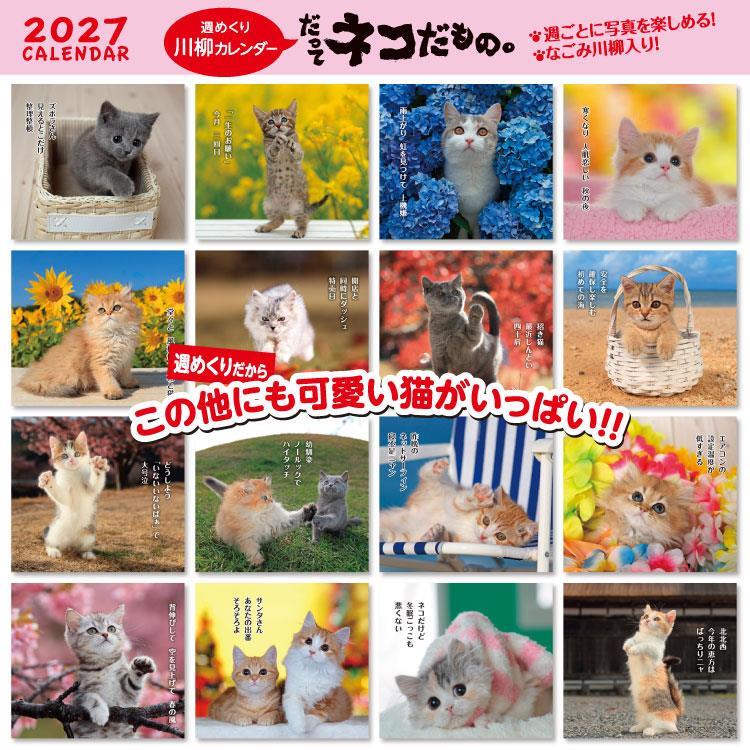 2027年1月始まりカレンダー 卓上 だってネコだもの。