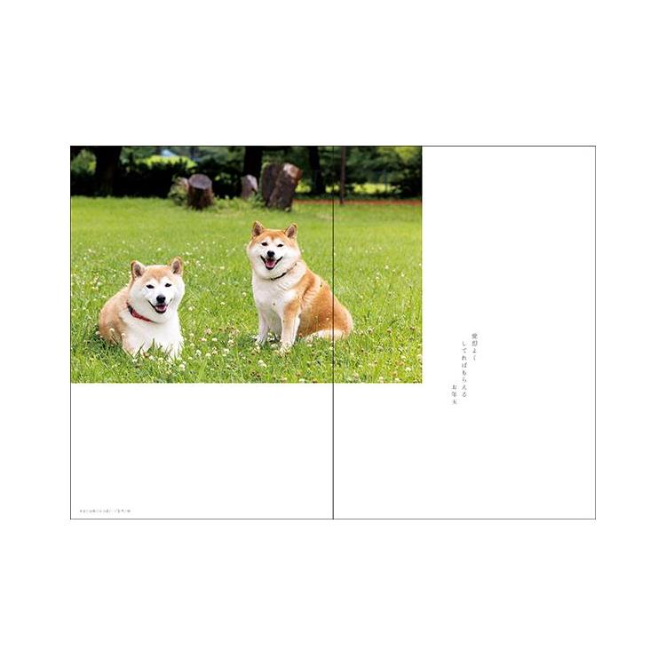 2026年10月始まり 月間 B6 犬川柳 犬川柳