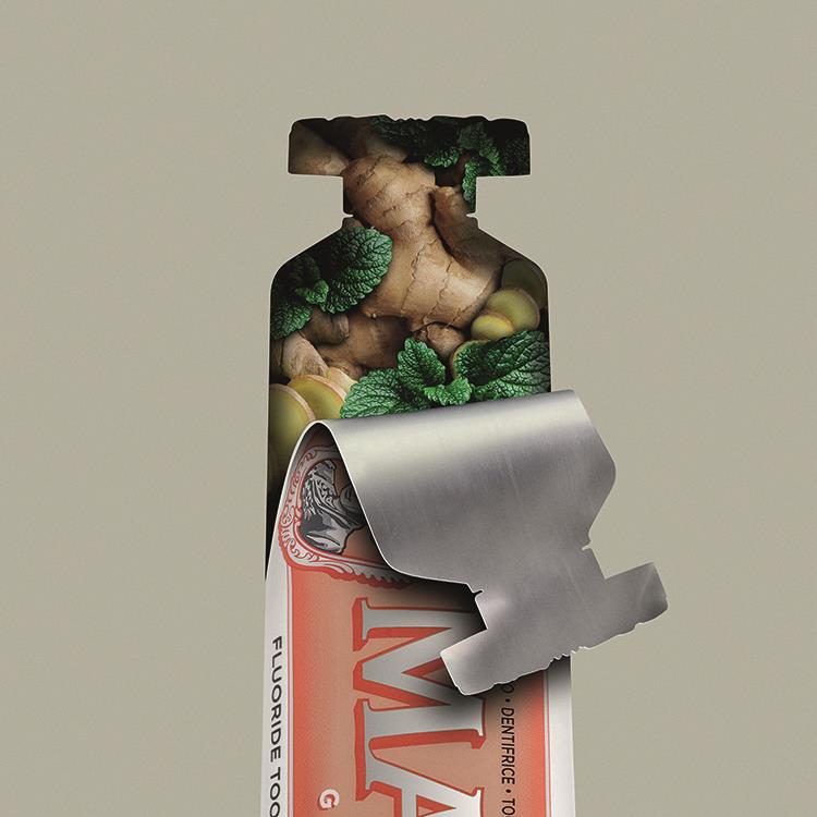 ジンジャーミント 25ml