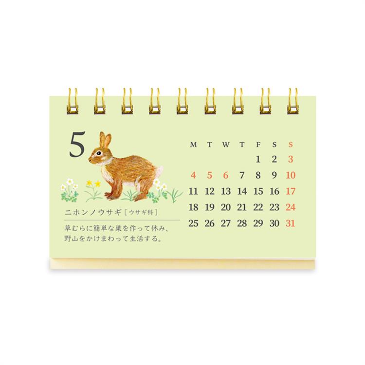 2026年1月始まりカレンダー 卓上 名刺サイズ 動物図鑑 動物図鑑