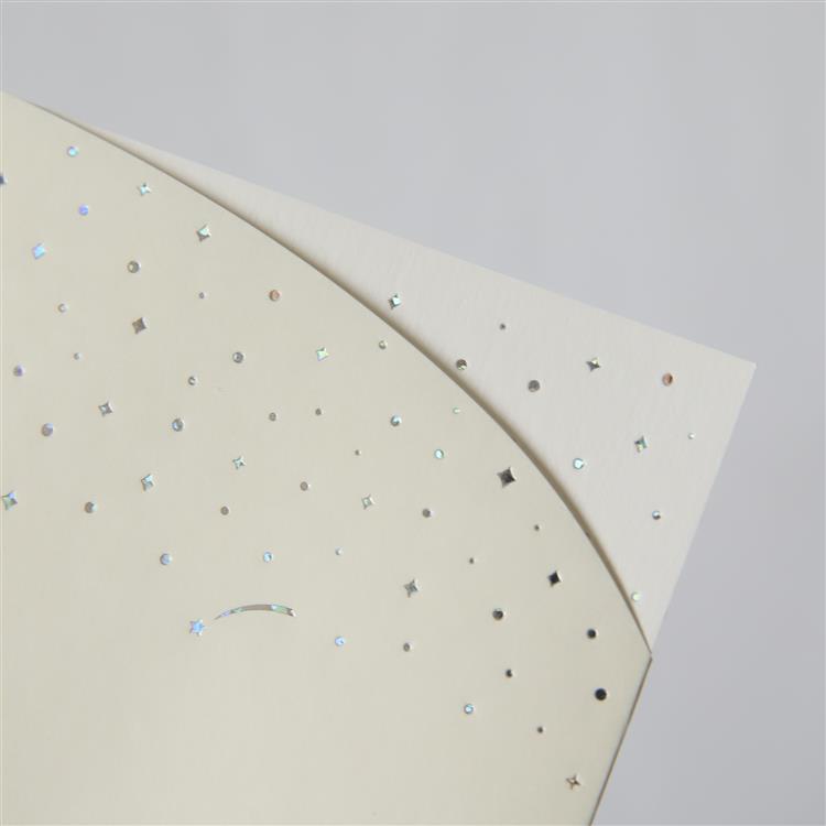 星くずのかけら日記 ホワイト ホワイト