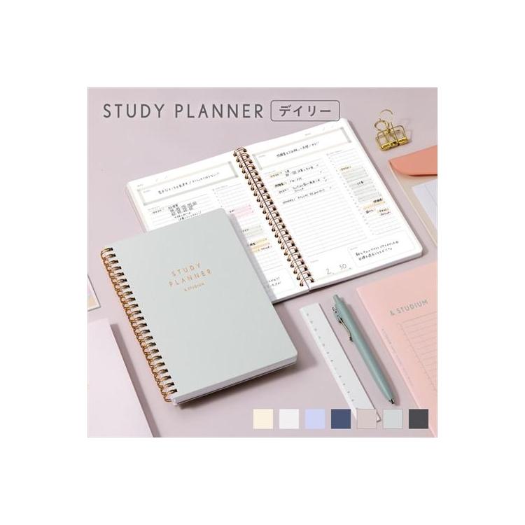 スタディプランナー リングノートタイプ A5変型 デイリー オーロラ