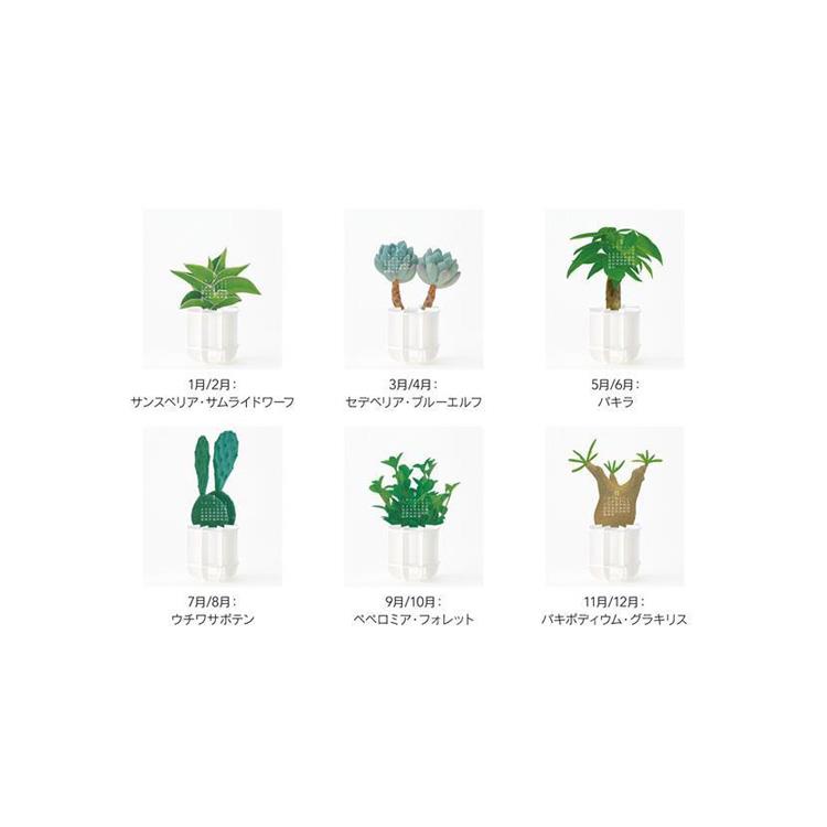 2027年1月始まりカレンダー 卓上 Green Green