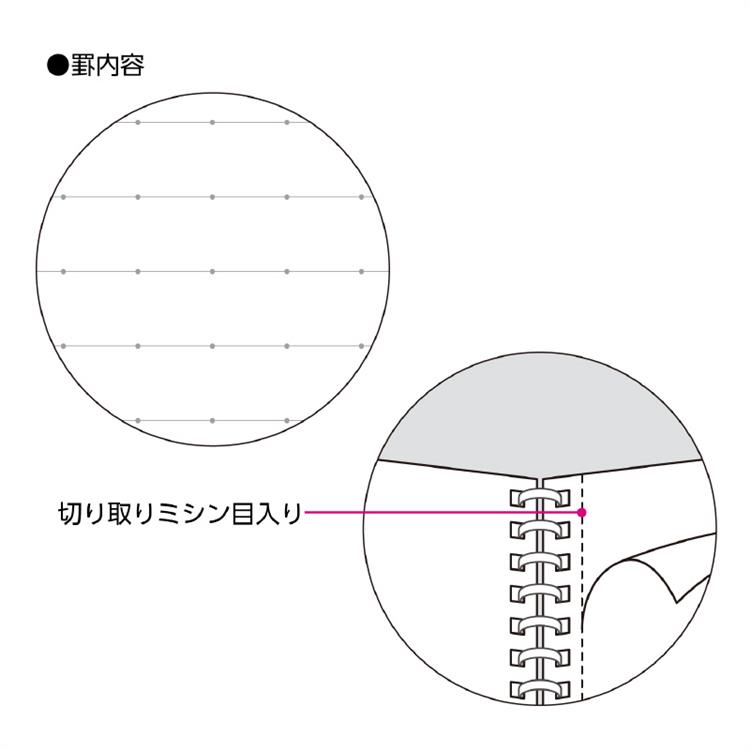 キャンパス ソフトリングノート A6 50枚 グレー グレー