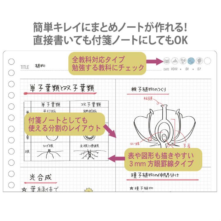 ルーズリーフ Ｂ５ まとめノート用 みおりん Ｓｔｕｄｙ Ｔｉｍｅ ...