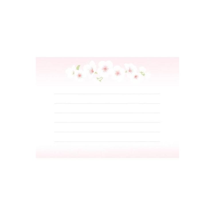 春柄 お手紙美人 さくら白 さくら白