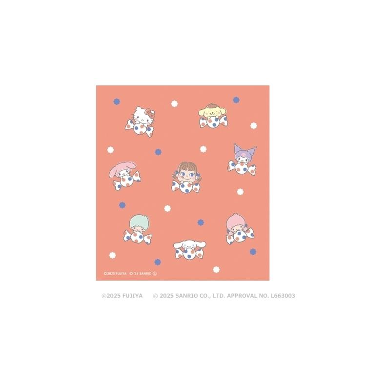 メモパッド PEKO×サンリオキャラクターズ チェックA チェックA