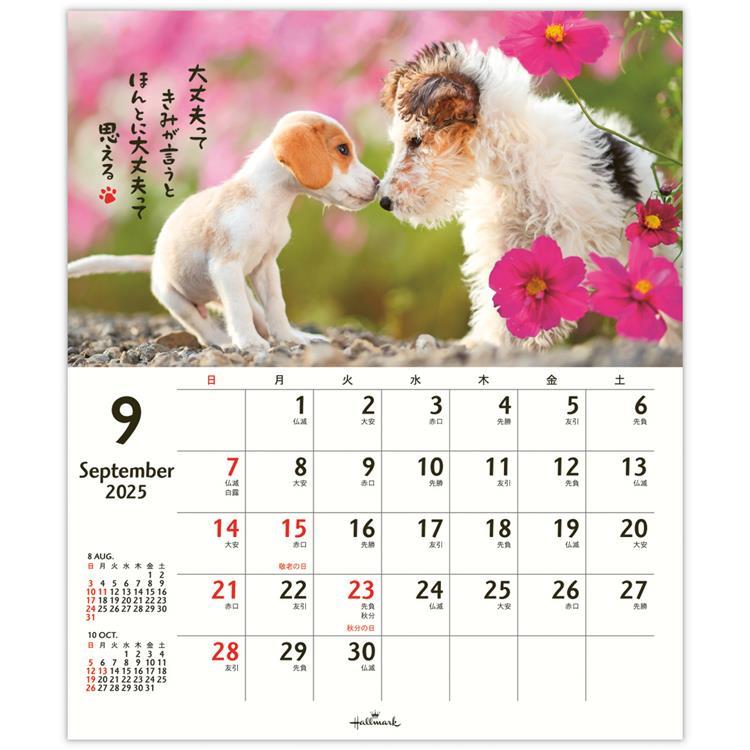 13-1 キッチン・日用品・その他 メルセデス-AMG【純正品】2025年大型