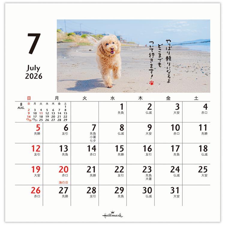 2026年1月始まりカレンダー 卓上 ほめわんこ ほめわんこ