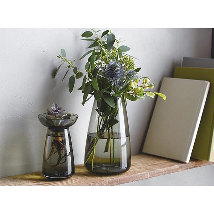 アクアカルチャーベース ｌ クリア ホーム キッチン ロフト公式通販サイト Loft