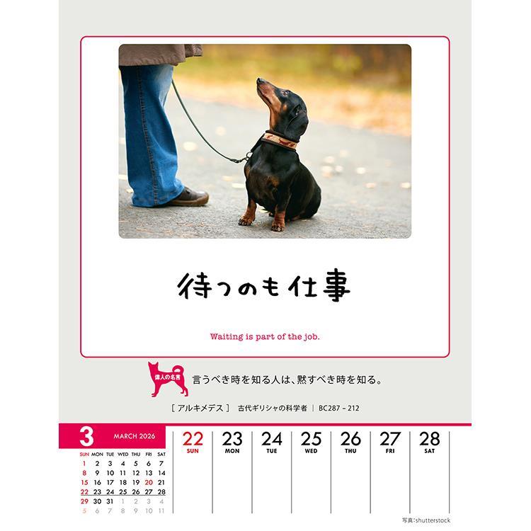 2026年1月始まり 卓上・壁掛け 週めくりカレンダー 人生はワンチャンス 人生はワンチャンス