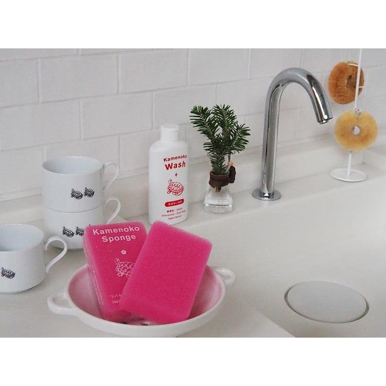 亀の子スポンジ ツバキ ツバキ