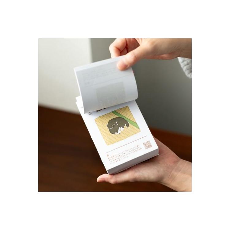 2026年4月始まり 暦生活まいにち日めくり カレンダー 卓上