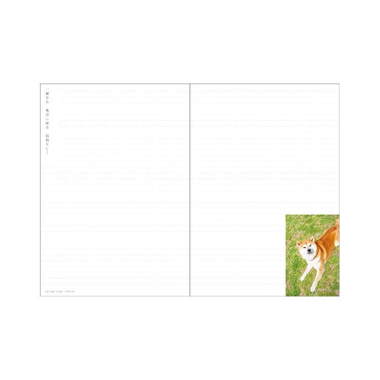 2026年10月始まり 月間 B6 犬川柳 犬川柳