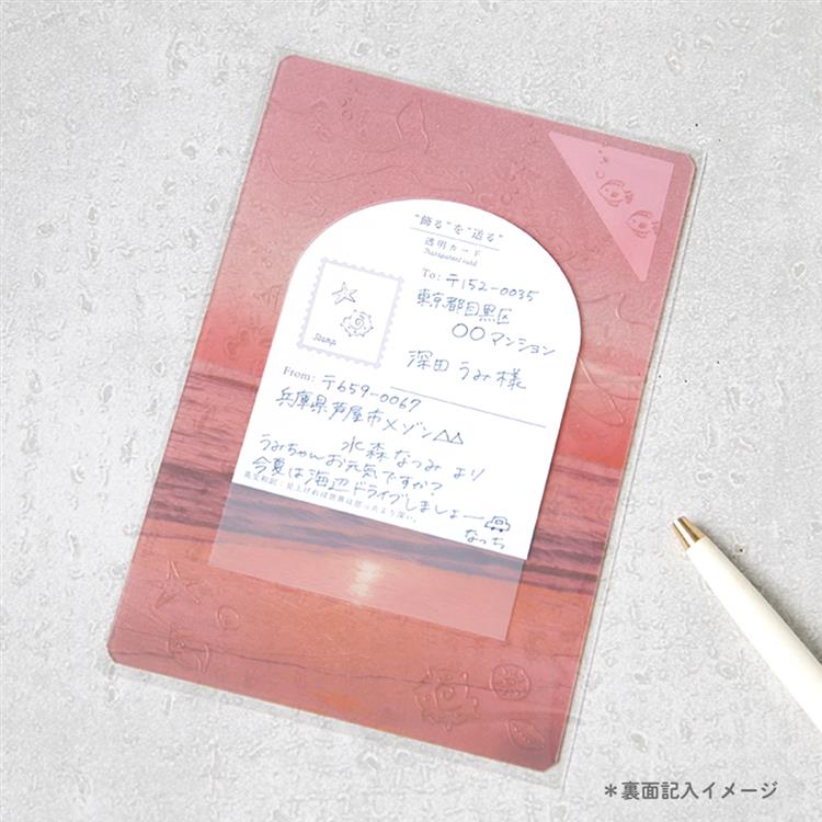 透明カード 空飛ぶブタ 空飛ぶブタ