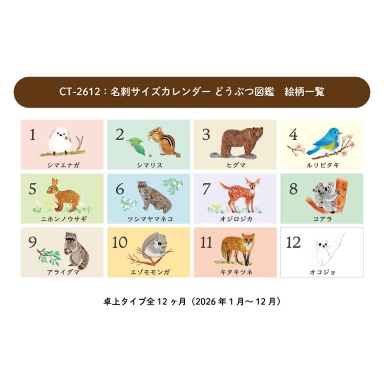 2026年1月始まりカレンダー 卓上 名刺サイズ 動物図鑑 動物図鑑