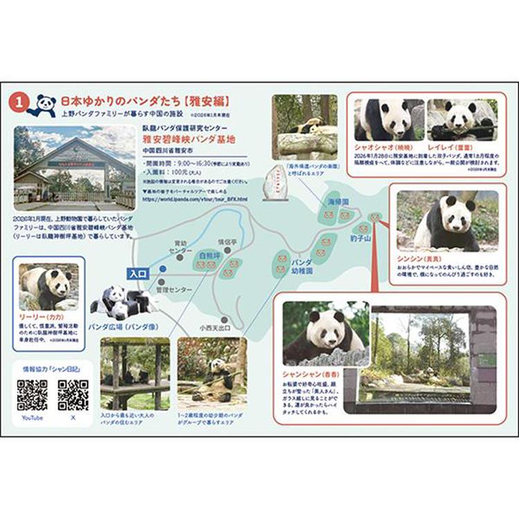 2026年12月始まり手帳 月間 A6 パンダ ベージュ ベージュ