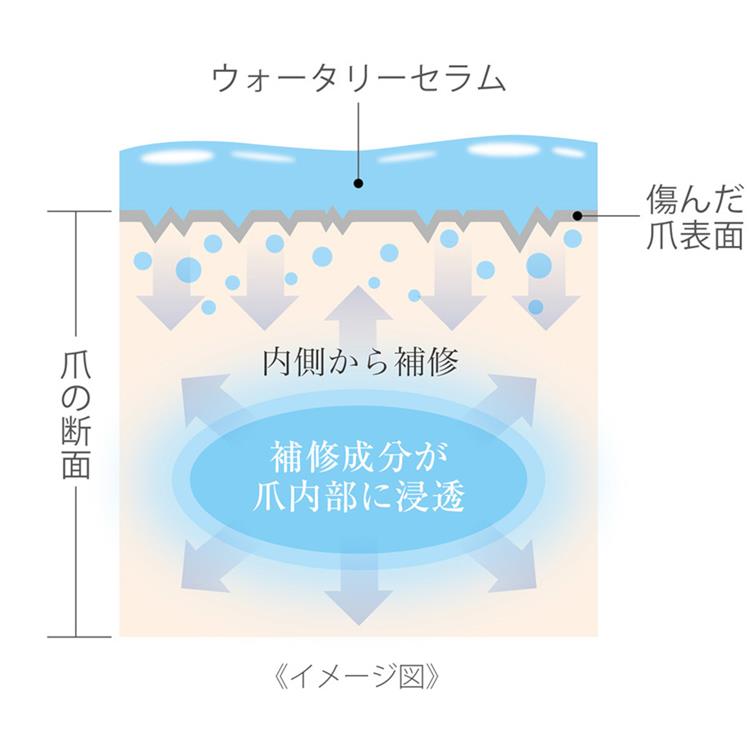 &パルファム ウォータリーセラム シトラスウッディ 30ml: コスメ