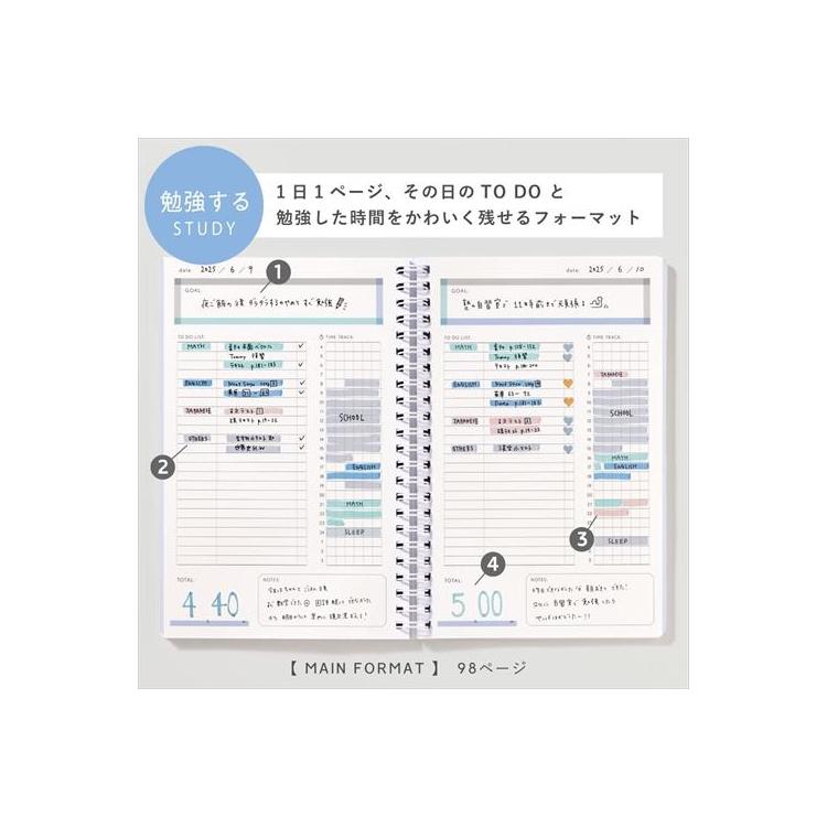 スタディプランナー リングノートタイプ A5変型 デイリー ピンクチェック ピンクチェック