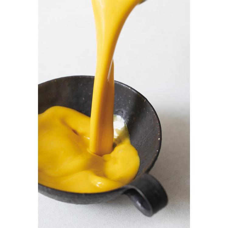 自動調理ポット ラージ ナチュラルブラック レコルト ナチュラルブラック