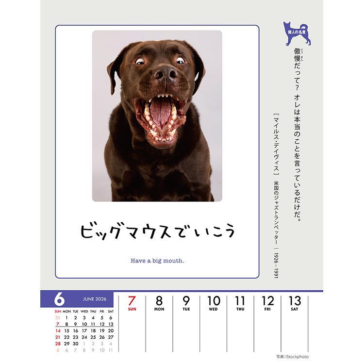 2026年1月始まり 卓上・壁掛け 週めくりカレンダー 人生はワンチャンス 人生はワンチャンス