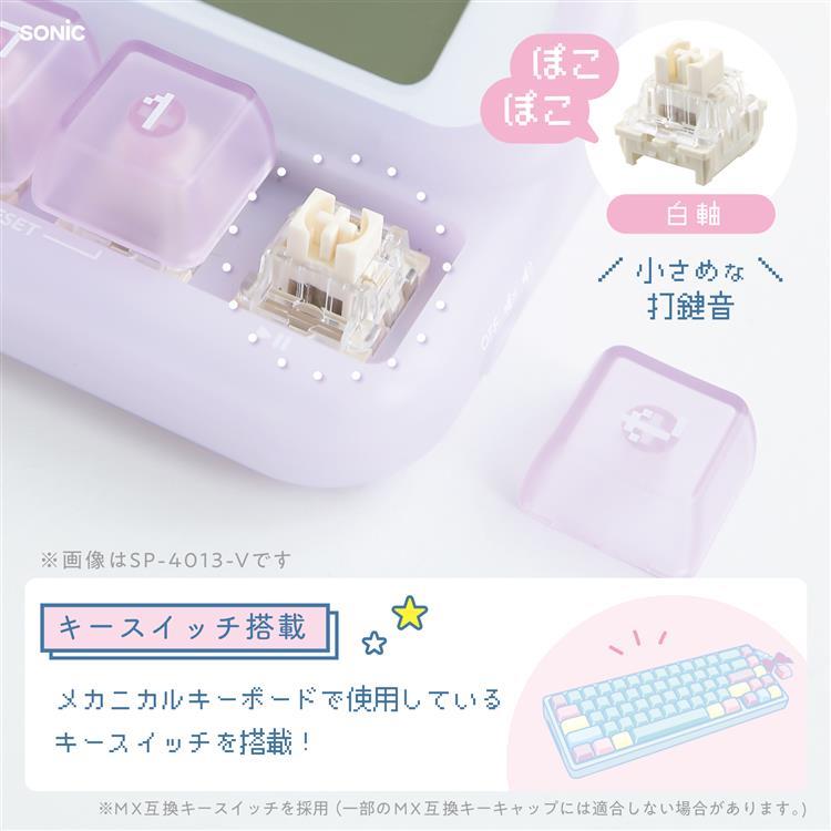 ぽこぽこスタディタイマー ライトブルー ライトブルー