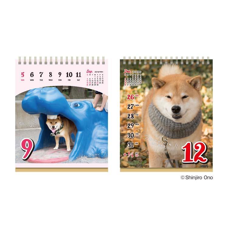 2027年1月始まりカレンダー 卓上 柴犬まるのおしゃべり週めくり