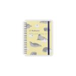 N(アニマル アザラシ)